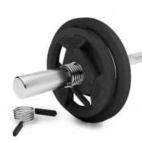 Диск олимпийский обрезиненный BRONZE GYM BGPLR012 1,25 кг