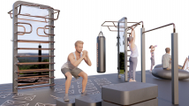 Уличная шведская стенка с зеркалом DESIRE FITNESS Open Air Balance S009